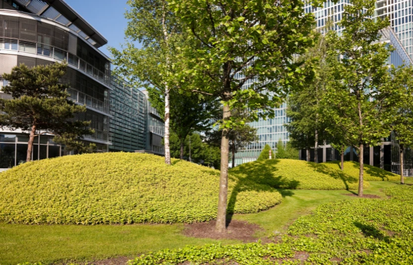 architettura_e_paesaggio_carosello-2-header