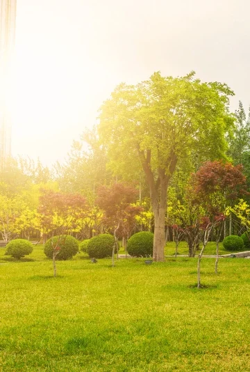 architettura_e_paesaggio_carosello-3-header